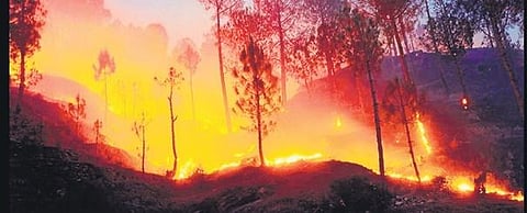 Image used for representative purposes only.