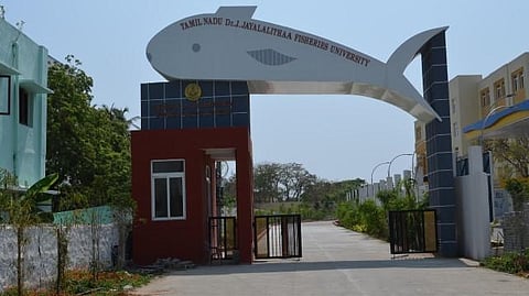 Tamil Nadu Dr J Jayalalithaa Fisheries University