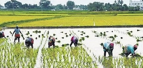 For representational purpose only