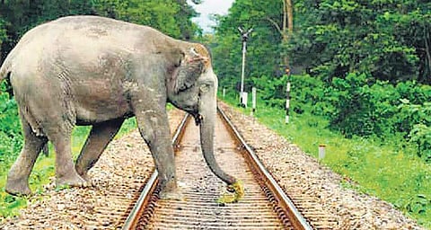 Image for representational purpose only. (File Photo)