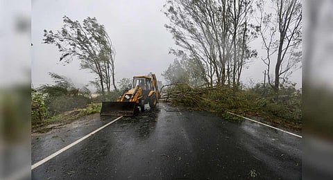 An earthmover being used to clear uprooted trees from a road following the landfall of Cyclone Biparjoy, at Bhuj-Naliya Highway in Kutch district. (Photo | PTI)