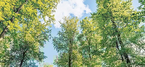 ImaImage used for illustrative purposes only.