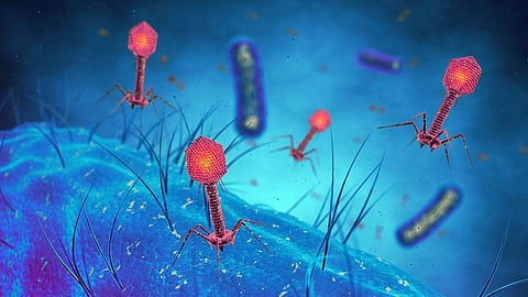 Common symptoms of the viral disease, which spreads from culex species of mosquitoes,  include fever, headache, and body pain.  