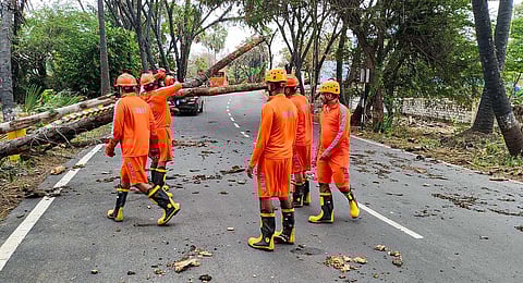 NDRF personnel engage in restoration work following the landfall of Cyclone Biparjoy, in Gujarat. (Photo | PTI)