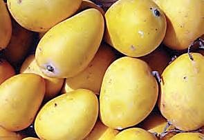 Image used for representational purpose only.