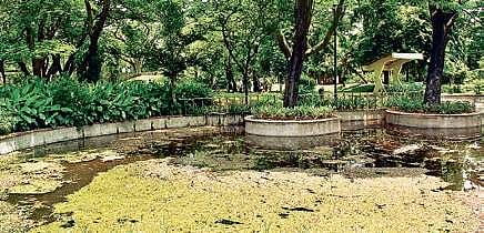 A view of Semmozhi Poonga. (Photo | EPS)