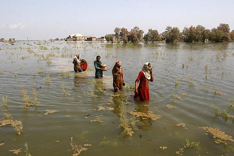 Women wade through floodwaters as they take refuge in Shikarpur district of Sindh Province, of Pakistan, Sep. 2, 2022. (Photo | AP)