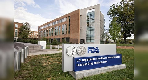 The FDA said it has sent warning letters to dozens of retailers selling fruit- and candy-flavored disposable e-cigarettes, including the current best-selling brand, Elf Bar. (Photo | AP)