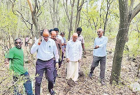 TTD EO AV Dharma Reddy inspected the 7th mile on the Alipiri footpath, where a 3-year-old boy was attacked by a leopard on Thursday night I Express