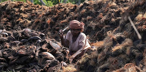 Ambili, a 66-year-old coir worker, pounds coconut husk at Nerukadavu in Perunguzhi