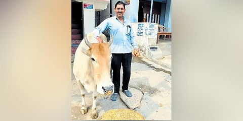​  Jai Ram Pathak developed compassion for stray animals after a real-life incident | Express  ​