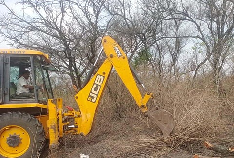 Volunteers start work to restore four-acre Kadaikaali Kuttai in TN