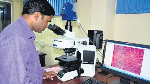 Sand processing technology is developed by Chenna Kesava Reddy Sangati I Express