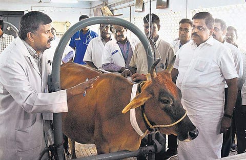 Representational image | Ashwin Prasath