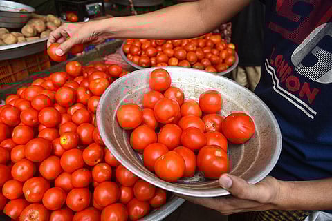 Centre starts selling tomatoes at subsidised rate of Rs 65/kg in Delhi