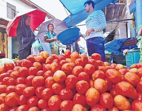People buying vegetables from Chalai market in Thiruvananthapuram on  Tuesday | B P Deepu