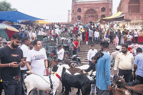 Eid-al-Adha will be celebrated on Thursday | Pa rveen Negi