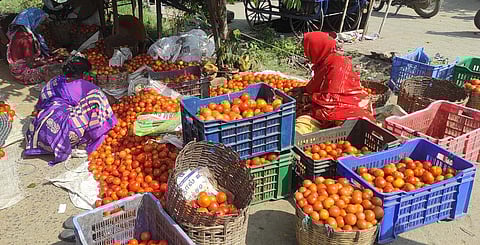 925 tonnes of tomatoes sold through e-NAM 