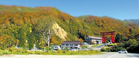 The Monks who embalmed themselves