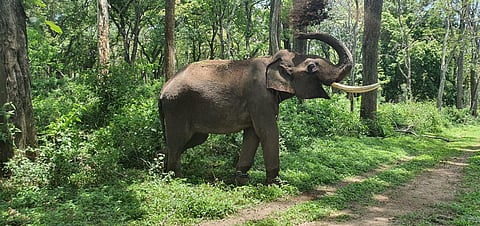 Image used for representational purposes 