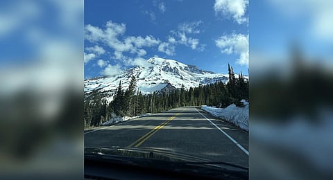 Mount Rainier National Park. (Photo | Twitter @MountRainierNPS)