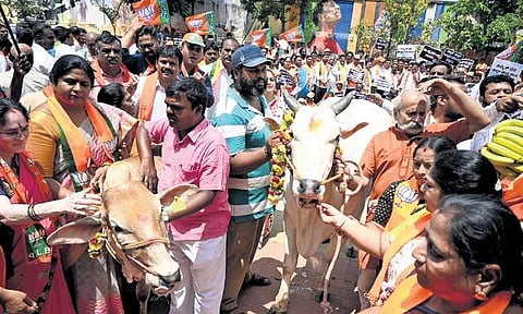 BJP workers and supporters protest against the state government over withdrawing the Anti-Cow Slaughter Act at Freedom Park in Bengaluru on Tuesday | Shashidhar Byrappa