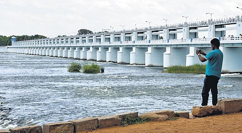 TN got 3.5 times more Cauvery water but wasted 60 per cent