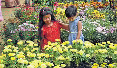 Image used for representational purpose only. (File Photo)