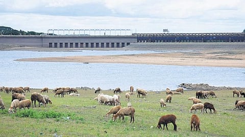Reservoir levels dip, water crisis stares North and East