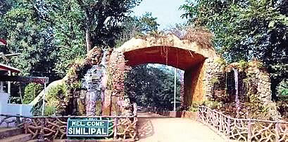 The scenario in Similipal South division was found to be, particularly, alarming where more poaching-related instances were reported than Similipal North.