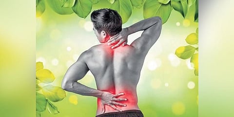 Ayurveda has your back