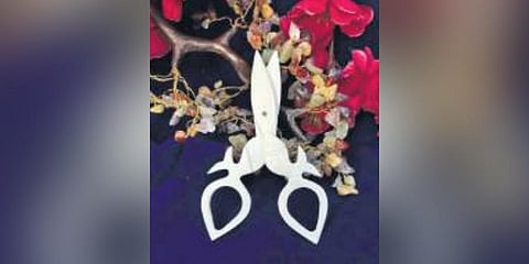 Skills and bones: Lucknow's father-son duo keep ancient art of bone carving alive