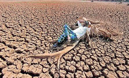 As global warming gains pace, countries in Asia are coming up with ways to protect their agricultural and fishing sectors