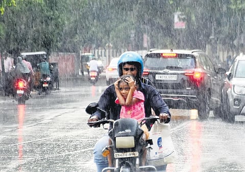Chennai witnessed a sudden shower on Sunday evening. People seen moving in the rain at EVK Sampath Road in Egmore | ashwin prasath