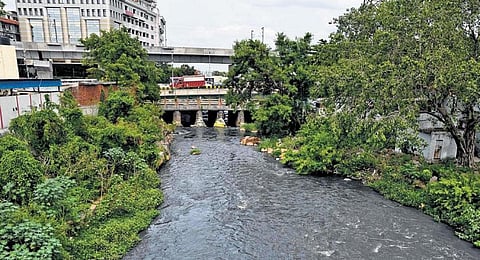 The 1.90-km-long stretch of open stormwater drain between the Fathenagar Sewage Treatment Plant and Rain Garden in Begumpet is set to be transformed (Photo | Vinay Madapu)