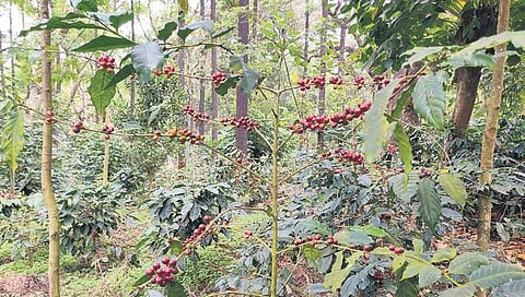 For representational purpose only | EPS