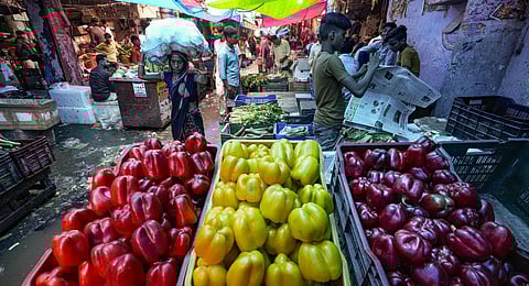Azadpur Mandi halts fruit and vegetable trade with Turkey