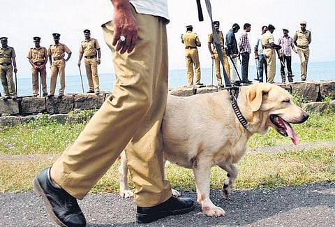 Amid corruption charge, K9 squad now appoints retired cops as trainers