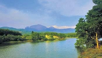 Netta. (Photo | Express)