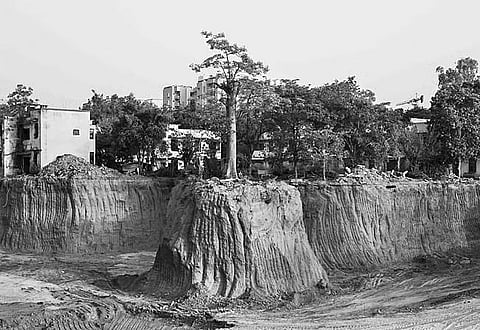 A photograph by Emmanuel Lenain.