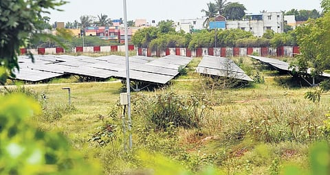 A view of 1,000-KWp ground-mounted solar power plant of Tiruchy airport near Tiruchy-Pudukottai NH in Tiruchy | M K Ashok Kumar