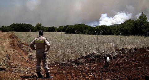 A firefighter stands next to a dog as he watches smoke billowing from a fire in Pournari village near Athens, on Tuesday, July 18, 2023. (Photo | AP)