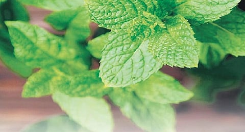 Clean eating, clear face