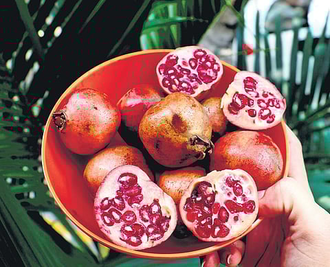 For representational purposes