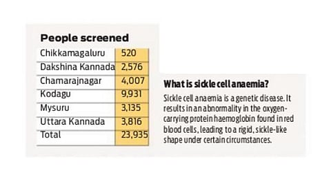 Karnataka to screen 3 lakh tribals for sickle cell anaemia 