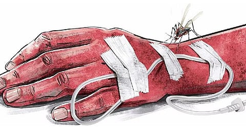 First dengue fatality of this year reported from Hanamkonda district