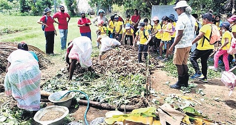 Seasonal farm platter, harvest at a local farm, the cafe, Ann with cafe workers
