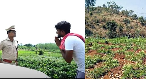 A video raising awareness about Malkangiri's ganja problem. (Screengrab from ‘Sabuja Jahara’ (Green Poison))
