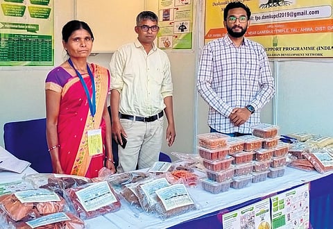 Farmer Producer Organisations sell vegetable seeds such as brinjal, chilies, tomatoes, and spinach. (Express)