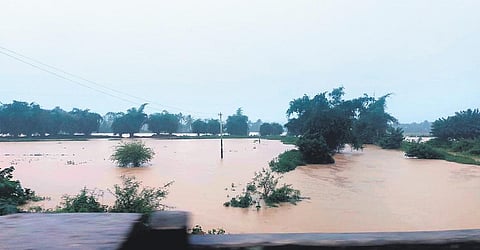 Overflown Kalloor vayal near Sultan Bathery | Express